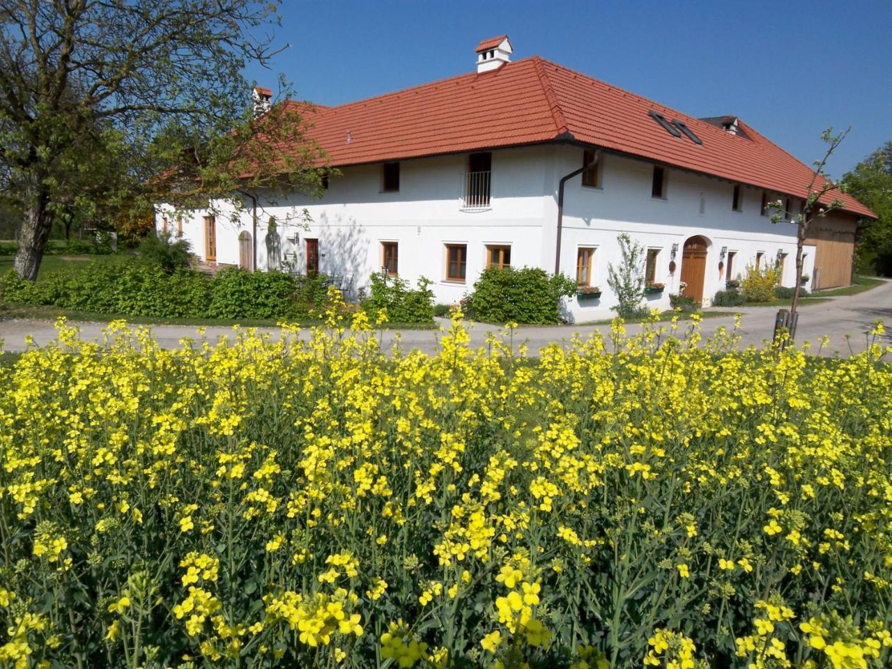 Vitalhof Roithinger Grieskirchen Exterior foto